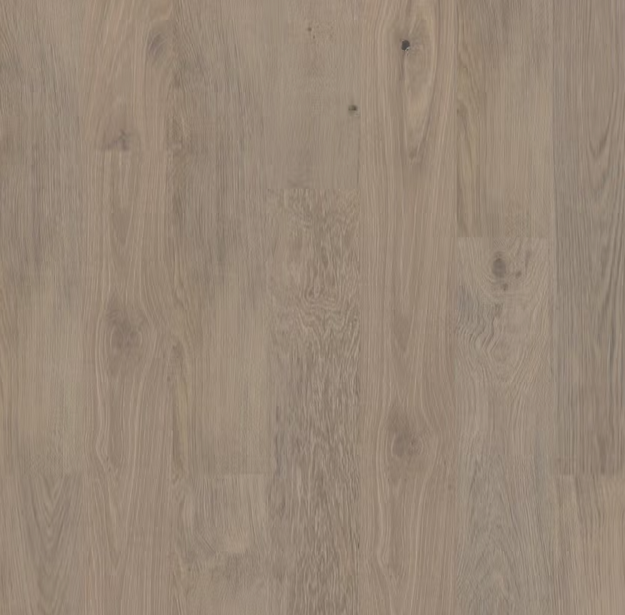 BIYORK - Nouveau 6 Collection - Laguna Coastline