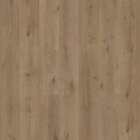Primco - Estates Laminate - Sequoia Collection - Eagle Scout