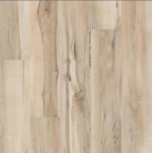 MSI Surfaces - Prescott® Collection - Akadia