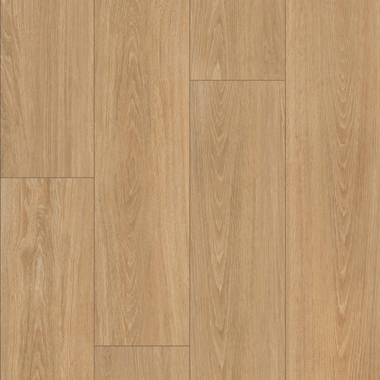 MSI - PLACERO TIMBER - Tile - 10" x 60"