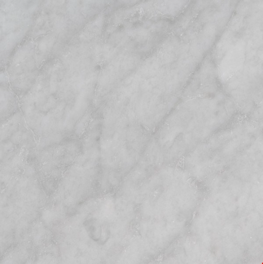MSI - CARRARA WHITE (C)  HONED - Tile - 18" x 18"