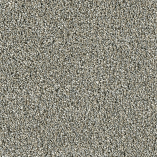 Primco - Estates Carpet - Majesty Collection - Sharpness