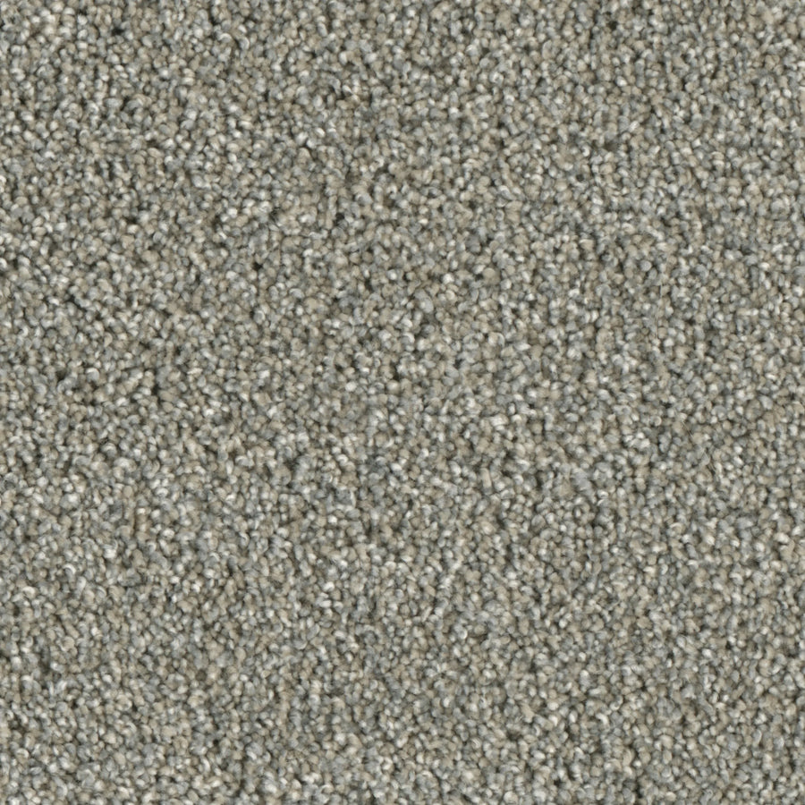 Primco - Estates Carpet - Majesty Collection - Sharpness