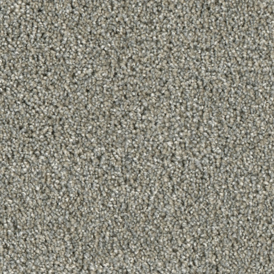 Primco - Estates Carpet - Nobility Collection - Sharpness