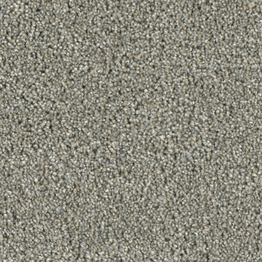 Primco - Estates Carpet - Grand Style Collection - Sharpness