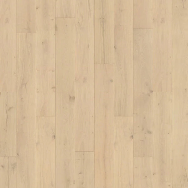 Caledon - Origins Collection - Shell Beach