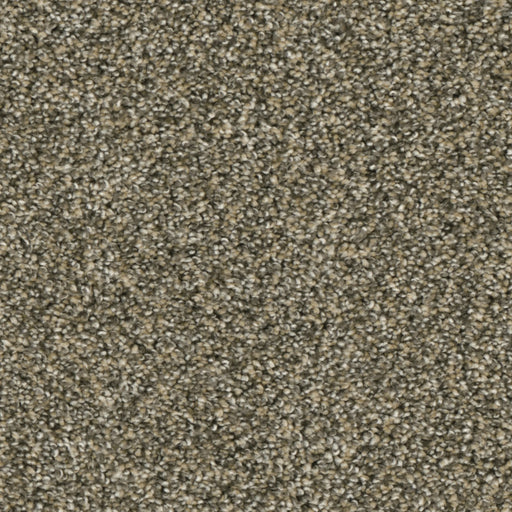 Primco - Estates Carpet - Majesty Collection - Simplicity