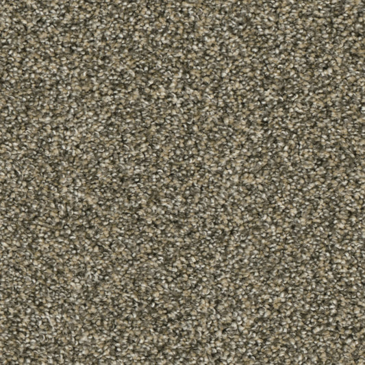Primco - Estates Carpet - Nobility Collection - Simplicity