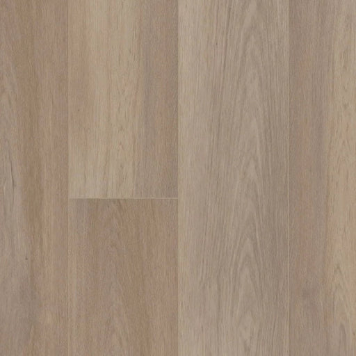 CORETEC - PRO PLUS XL ENHANCED HD - SOUTHAMPTON OAK