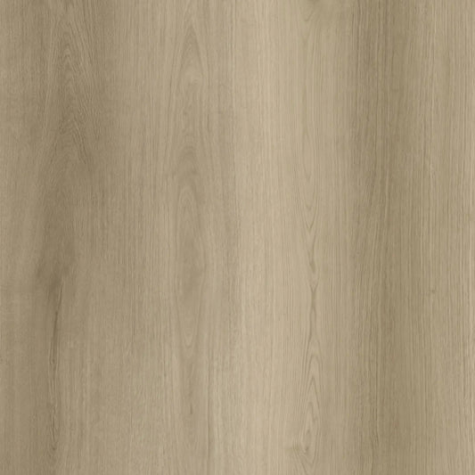 Goodfellow - Arctik Collection - Stavern