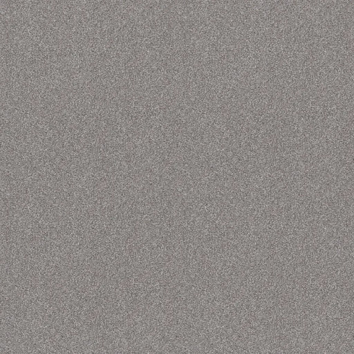 Shaw Floors - Carpet - Simply The Best  - Attainable - Sterling