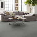 Shaw Floors - Carpet - Simply The Best  - Attainable - Sterling