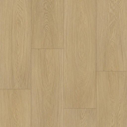 Caledon - Goliath Collection - Stormy Dawn