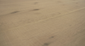Grandeur Flooring - Engineered Hardwood - Enterprise Collection - Stratus