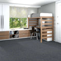 Shaw Floors - 5th & Main Carpet - Knock Out Collection - Success
