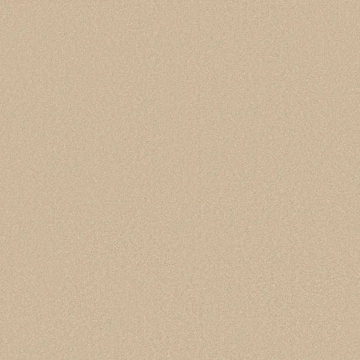 Shaw Floors - Carpet - Classics Collection  - Awaken Spirit I 12' - Sunlight