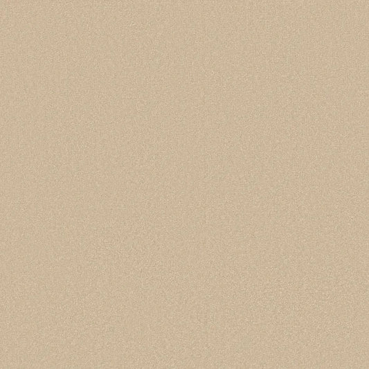 Shaw Floors - Carpet - Classics Collection  - Awaken Spirit I 12' - Sunlight