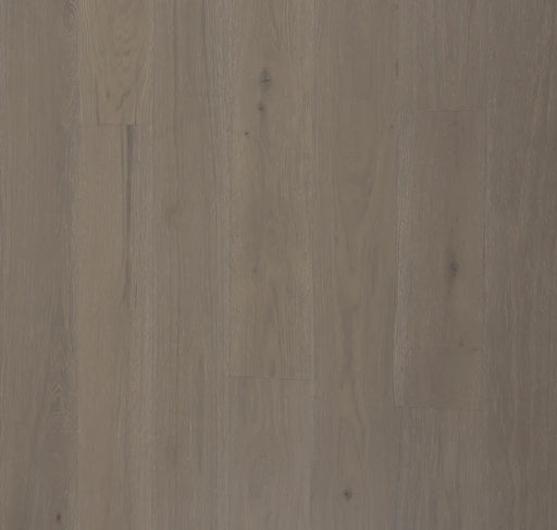 BIYORK - Nouveau 7 Collection - Sunlit Ivory