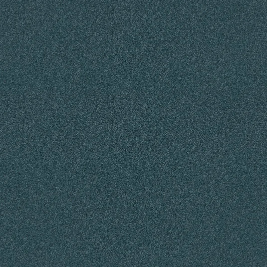 Shaw Floors - Carpet - COMFORTING II - Tailwind