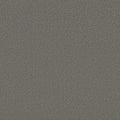 Shaw Floors - Carpet - Classics Collection  - Awaken Spirit II - 12' - Taupetone