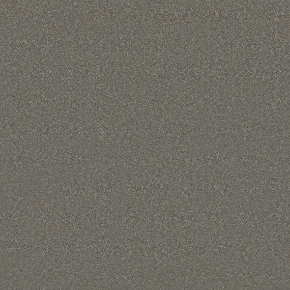 Shaw Floors - Carpet - Classics Collection  - Awaken Spirit II - 12' - Taupetone