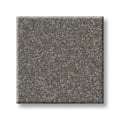 Shaw Floors - Carpet - Classics Collection  - Awaken Spirit II - 12' - Taupetone