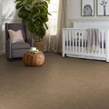 Shaw Floors - Carpet - Full Court 12' - Tassel