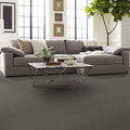 Shaw Floors - Carpet - Classics Collection  - Awaken Spirit II - 12' - Taupetone