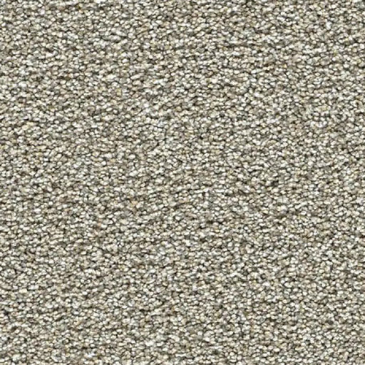 ACORN DESIGN - JASPER COLLECTION - 40 OZ CUT PILE CARPET - TALON