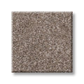 Shaw Floors - Carpet - Simply The Best  - TRUSOLUTIONS III - Taupe Dream