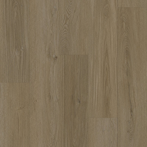 TwelveOaks - SureWood Origin Collection - Truffle Dust