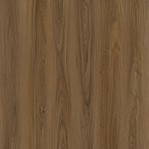 Toucan - TF 6602-F - Santas Rosa