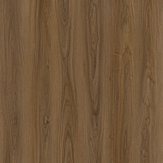 Toucan - TF 6602-F - Santas Rosa