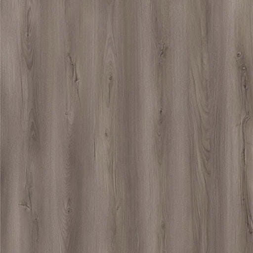 Toucan - TF 6605-F - Taos