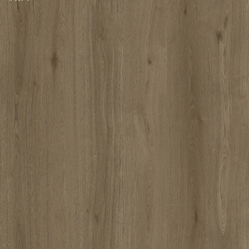 Toucan - TF 6609-F - Reserve