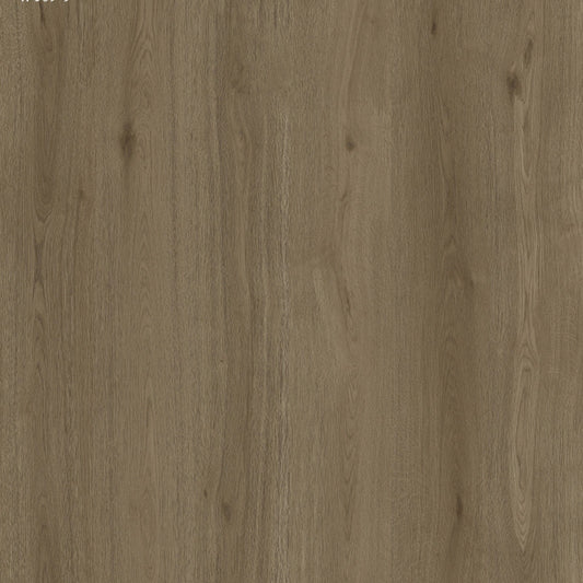 Toucan - TF 6609-F - Reserve