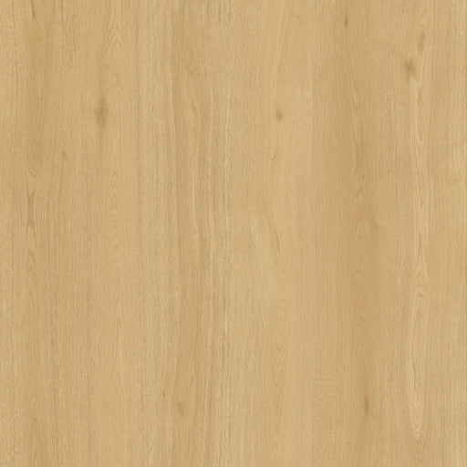 Toucan - TF 6612-F - Melrose