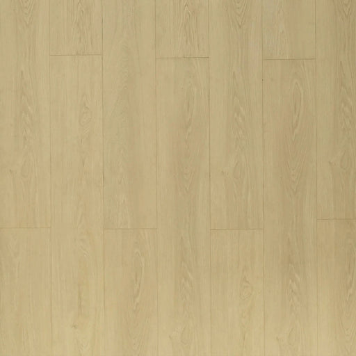 Toucan - TF 8103 - 72 Hour Water Resistant Laminate - Bandelier