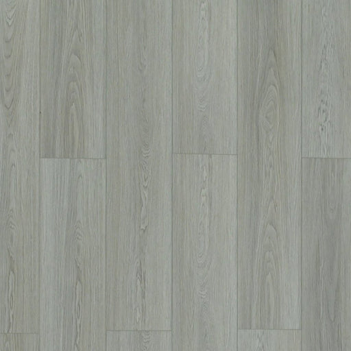 Toucan - TFSPC - 606-F - Venice