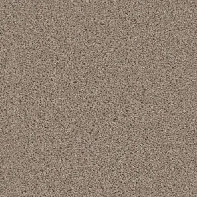 ACORN DESIGN - PACIFIC RIM COLLECTION - 24OZ CUT PILE CARPET - TIMBERL
