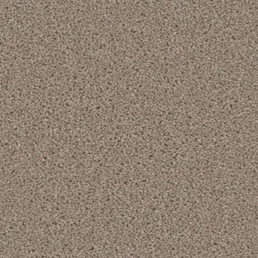 ACORN DESIGN - PACIFIC RIM COLLECTION - 24OZ CUT PILE CARPET - TIMBERLINE