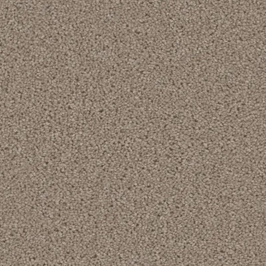 ACORN DESIGN - PACIFIC RIM COLLECTION - 24OZ CUT PILE CARPET - TIMBERLINE