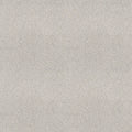 Shaw Floors - Carpet - COMFORTING I - Thin Ice