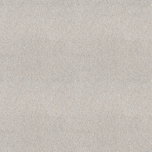 Shaw Floors - Carpet - COMFORTING I - Thin Ice