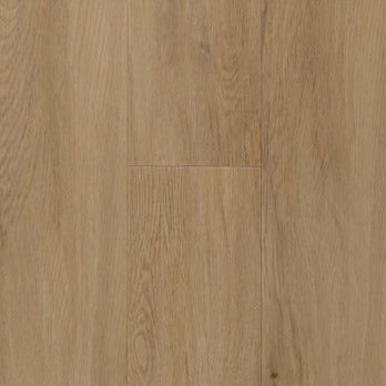 TORLYS - MARQUEE VINYL - Stadium Collection - Topspin