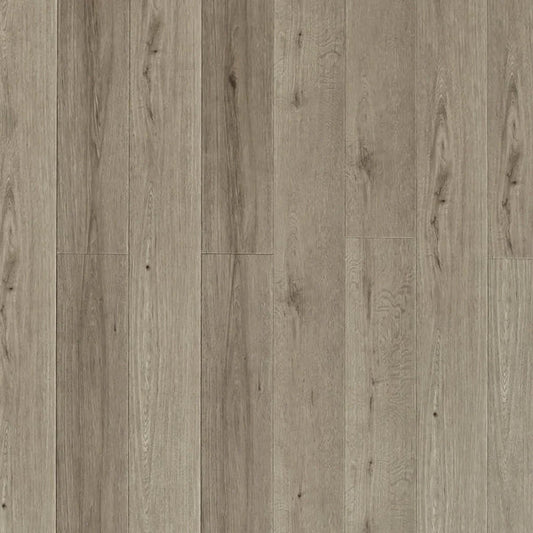 Toucan - SPC907 - Tudor