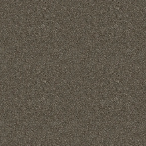 Shaw Floors - Carpet - Simply The Best  - Attainable - Urban Loft