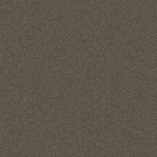 Shaw Floors - Carpet - Simply The Best  - Attainable - Urban Loft