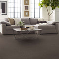 Shaw Floors - Carpet - Simply The Best  - Attainable - Urban Loft