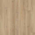 TAIGA - Aquila Collection - Vision